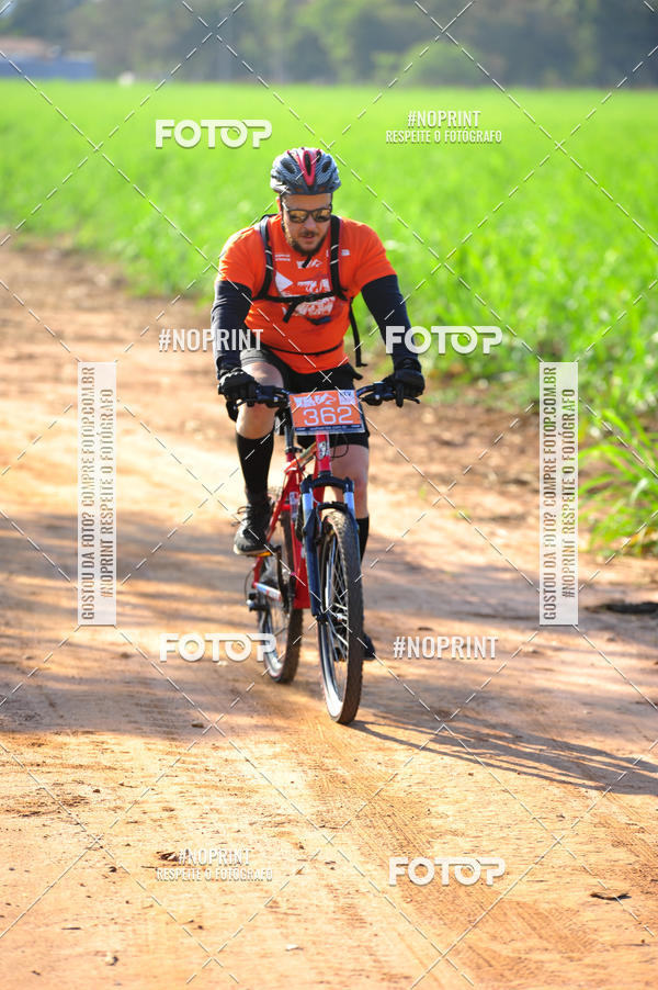 Buy your photos of the eventWolf Series - Botucatu on Fotop
