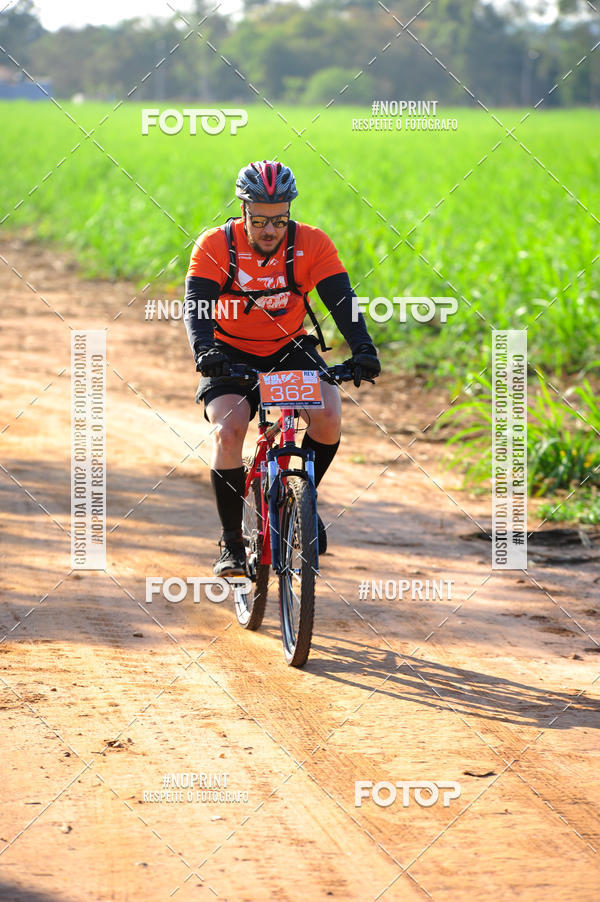 Buy your photos of the eventWolf Series - Botucatu on Fotop