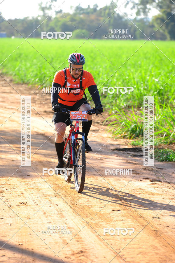 Buy your photos of the eventWolf Series - Botucatu on Fotop