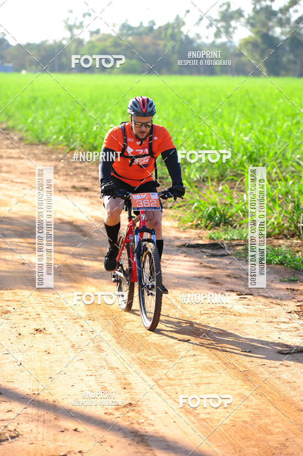 Buy your photos of the eventWolf Series - Botucatu on Fotop