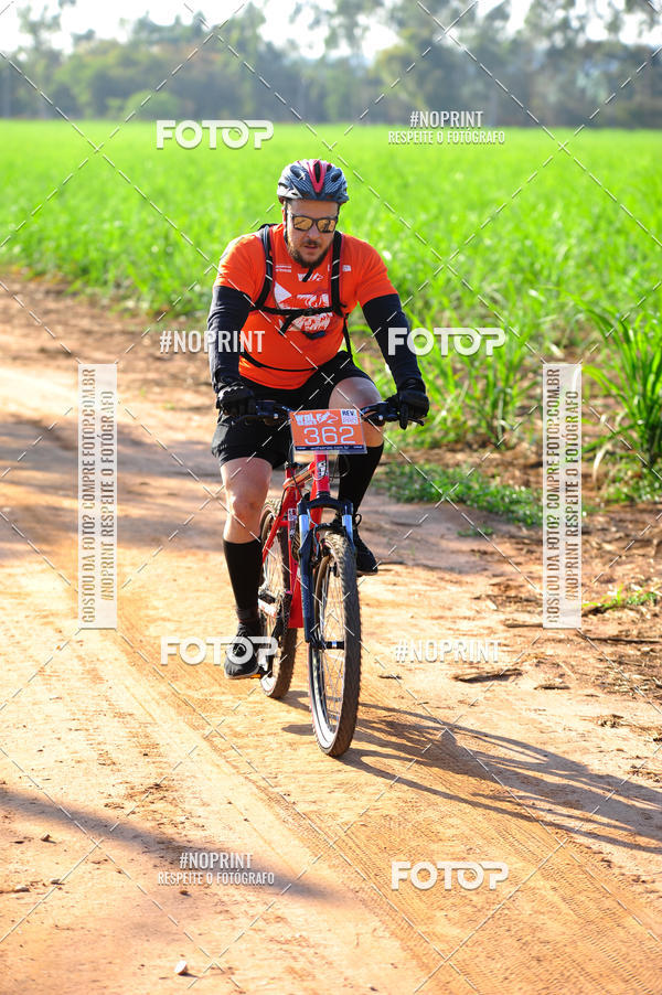 Buy your photos of the eventWolf Series - Botucatu on Fotop