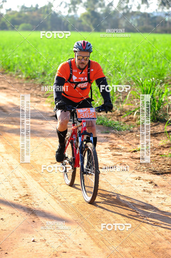 Buy your photos of the eventWolf Series - Botucatu on Fotop