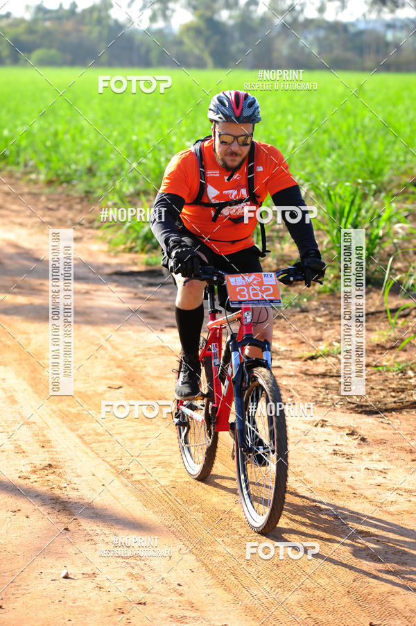 Buy your photos of the eventWolf Series - Botucatu on Fotop
