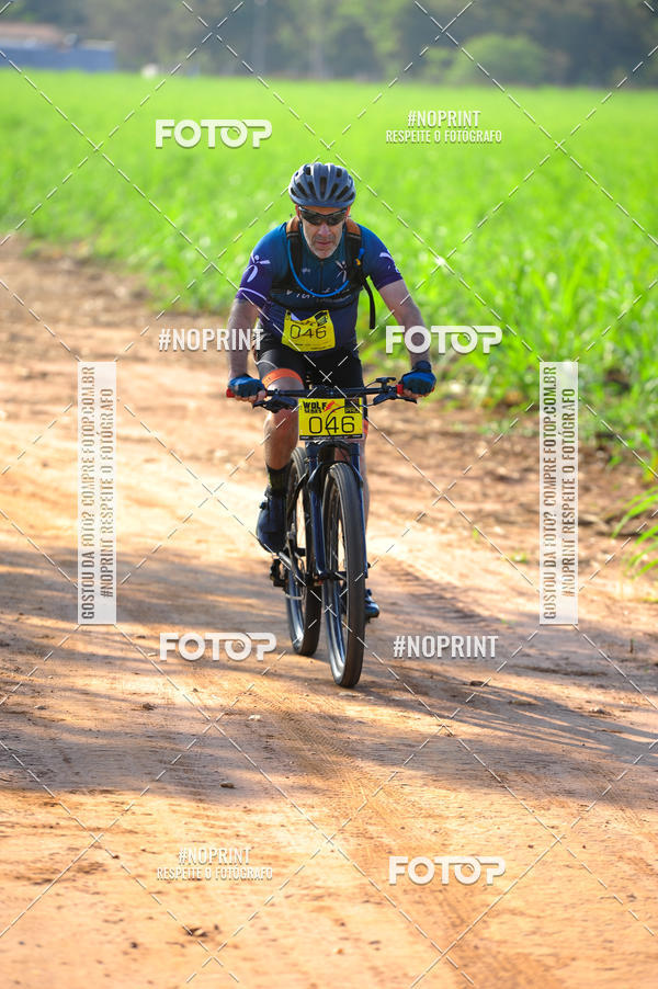 Buy your photos of the eventWolf Series - Botucatu on Fotop