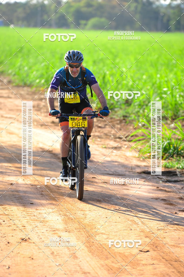 Buy your photos of the eventWolf Series - Botucatu on Fotop