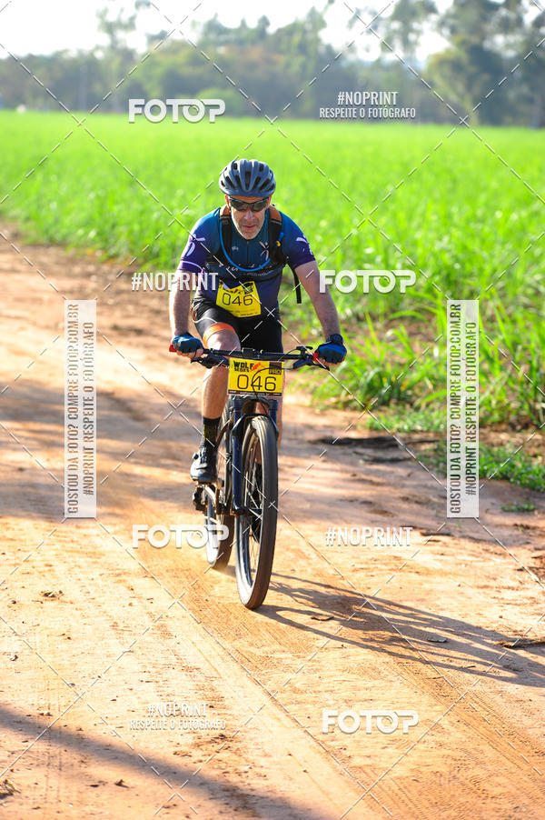 Buy your photos of the eventWolf Series - Botucatu on Fotop