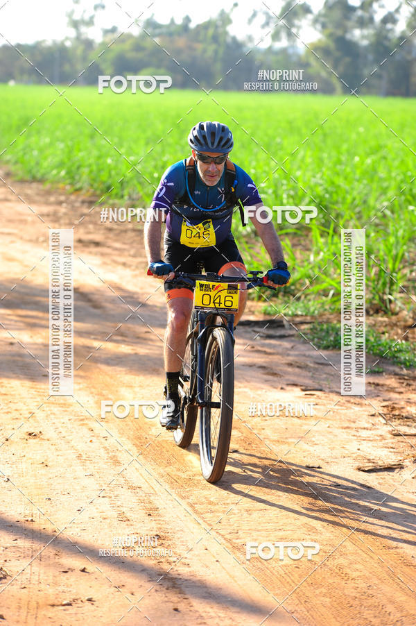 Buy your photos of the eventWolf Series - Botucatu on Fotop