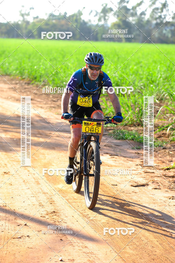 Buy your photos of the eventWolf Series - Botucatu on Fotop