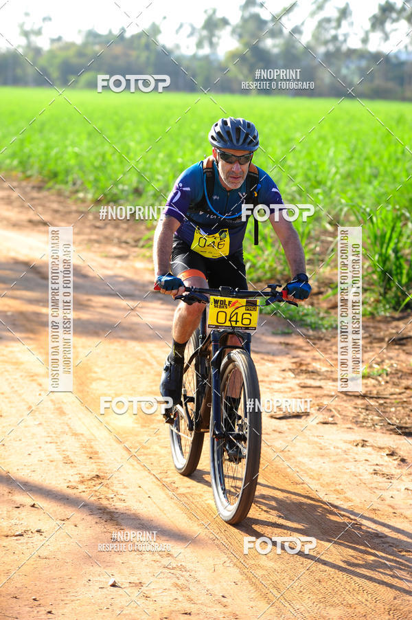 Buy your photos of the eventWolf Series - Botucatu on Fotop