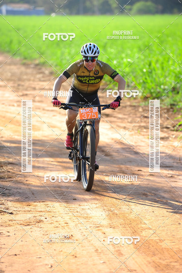 Buy your photos of the eventWolf Series - Botucatu on Fotop