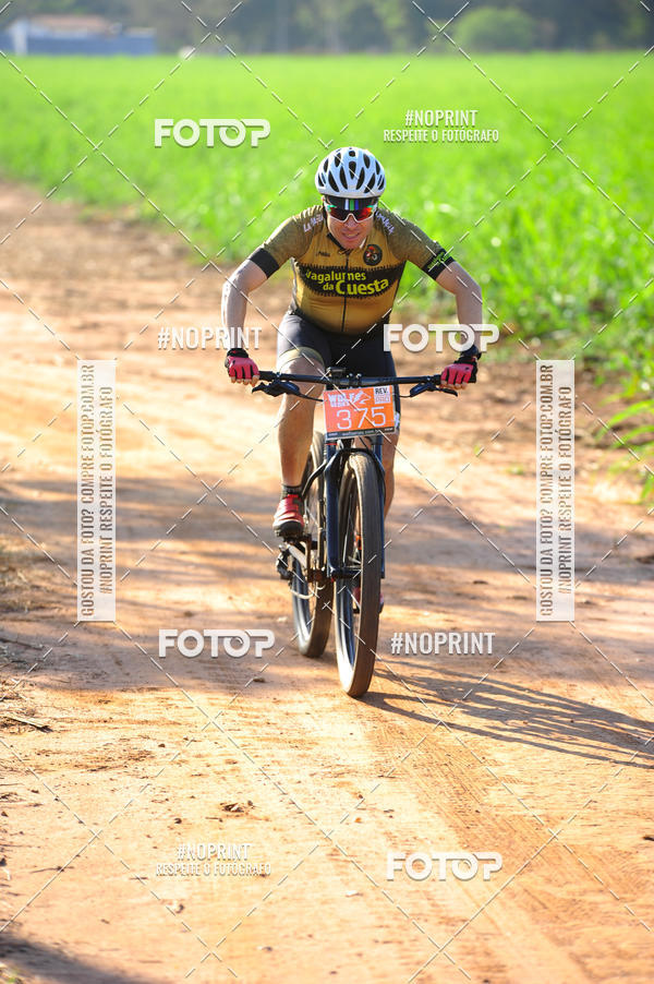Buy your photos of the eventWolf Series - Botucatu on Fotop