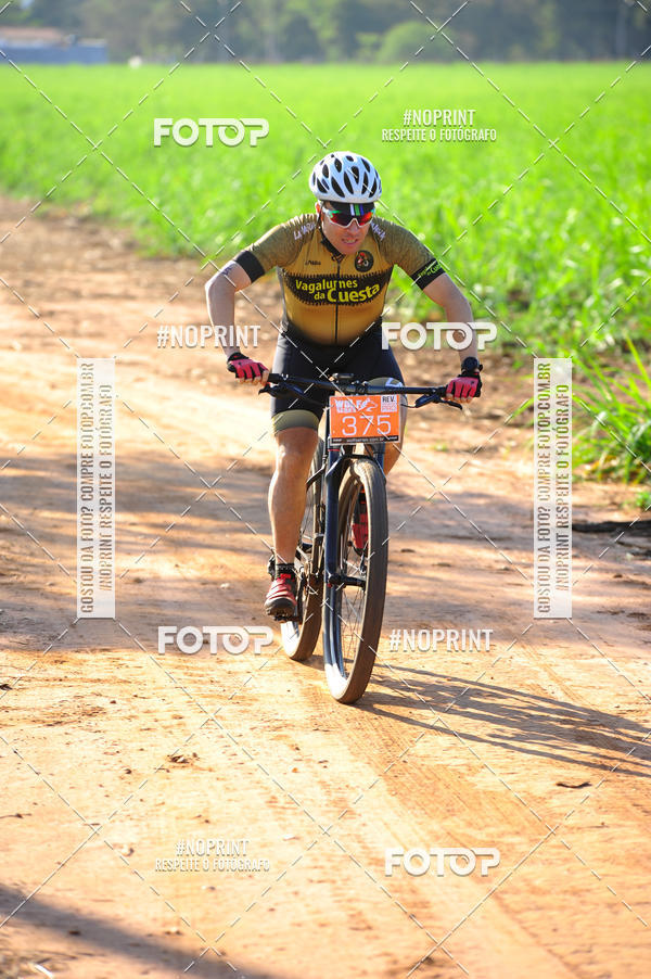 Buy your photos of the eventWolf Series - Botucatu on Fotop