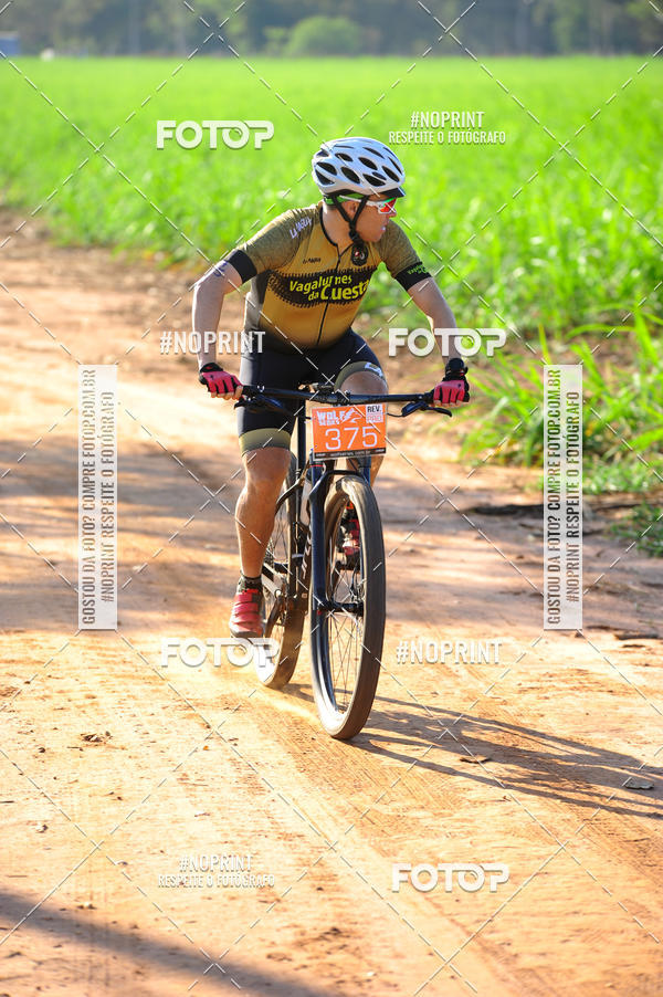 Buy your photos of the eventWolf Series - Botucatu on Fotop
