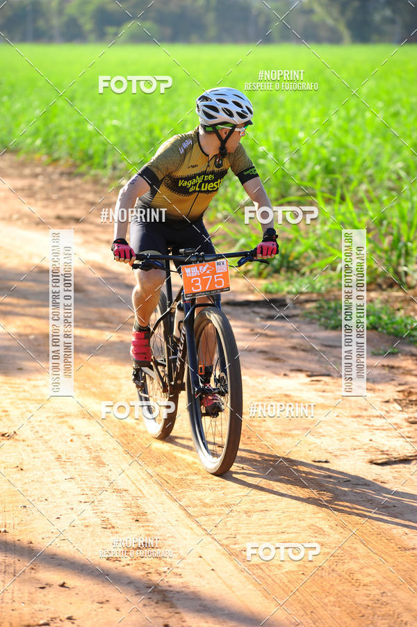 Buy your photos of the eventWolf Series - Botucatu on Fotop