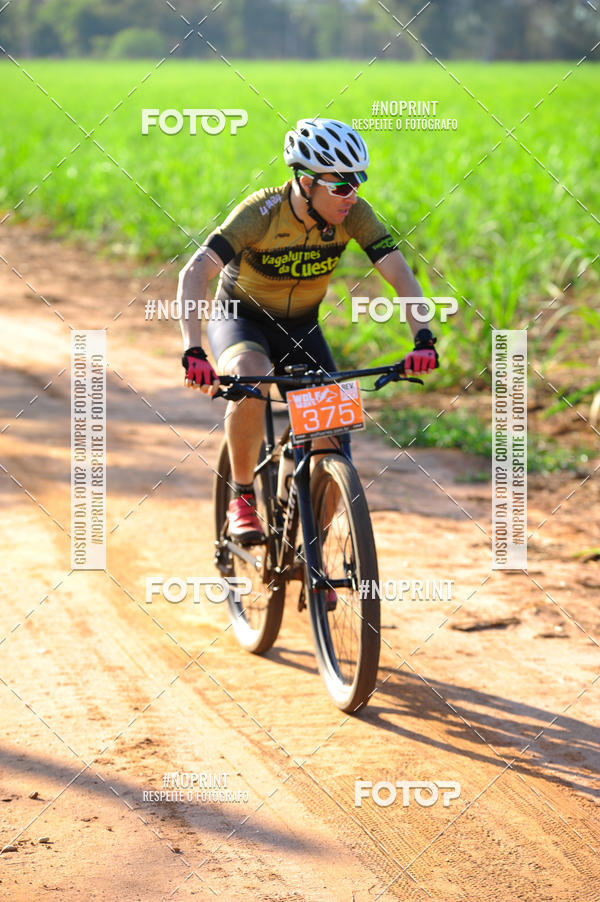 Buy your photos of the eventWolf Series - Botucatu on Fotop