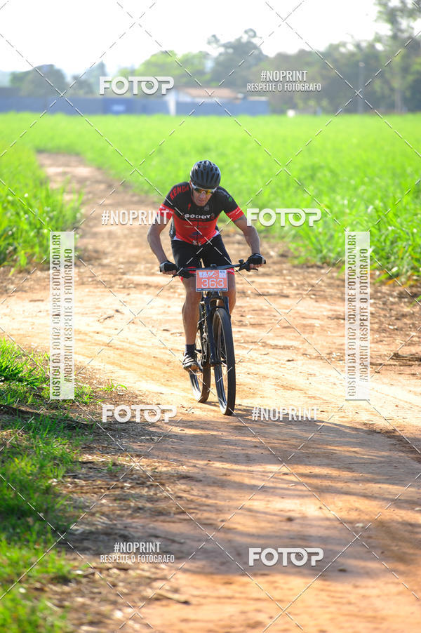Buy your photos of the eventWolf Series - Botucatu on Fotop