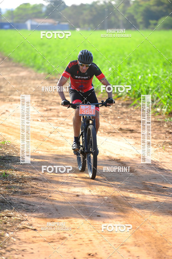 Buy your photos of the eventWolf Series - Botucatu on Fotop