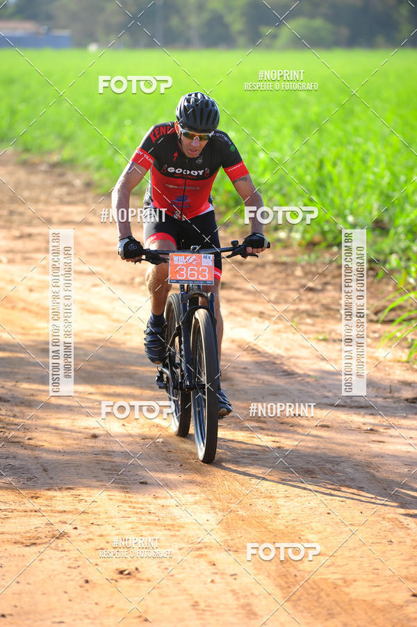 Buy your photos of the eventWolf Series - Botucatu on Fotop