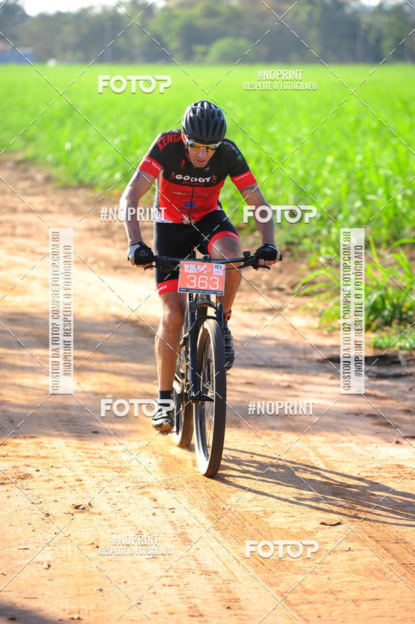 Buy your photos of the eventWolf Series - Botucatu on Fotop