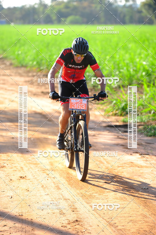 Buy your photos of the eventWolf Series - Botucatu on Fotop