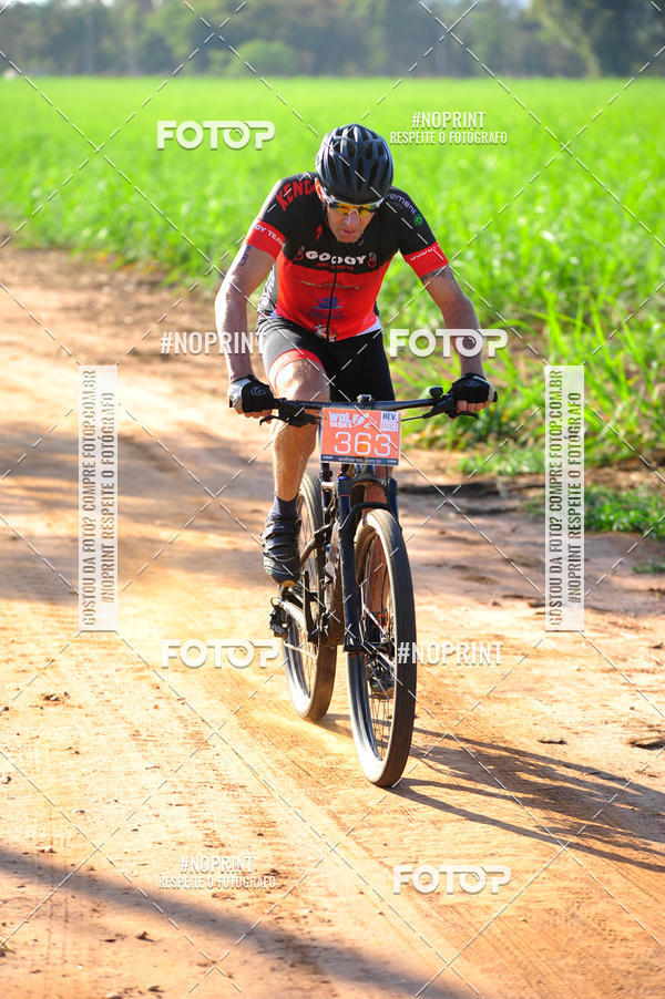 Buy your photos of the eventWolf Series - Botucatu on Fotop