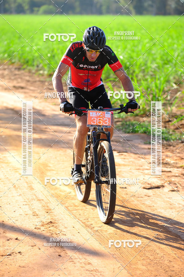 Buy your photos of the eventWolf Series - Botucatu on Fotop