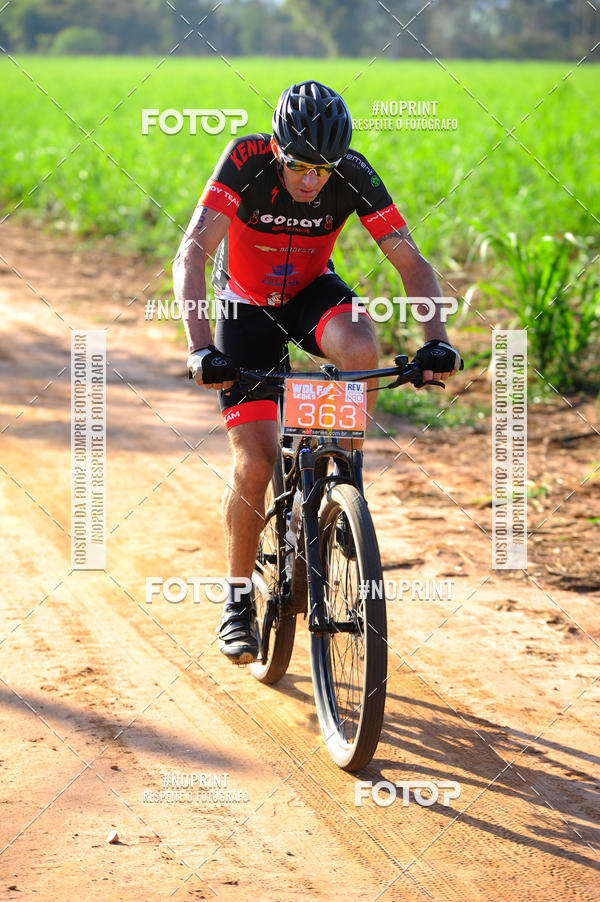 Buy your photos of the eventWolf Series - Botucatu on Fotop