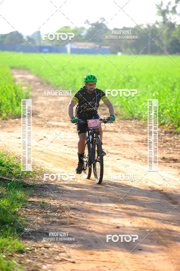 Buy your photos of the eventWolf Series - Botucatu on Fotop