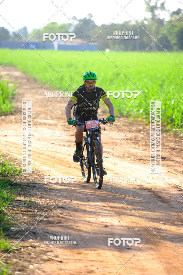 Buy your photos of the eventWolf Series - Botucatu on Fotop