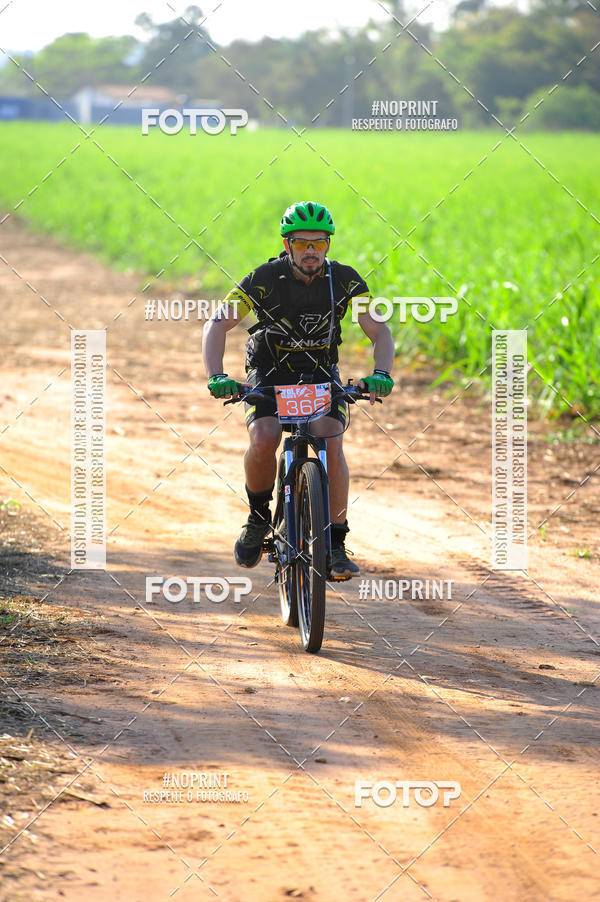 Buy your photos of the eventWolf Series - Botucatu on Fotop