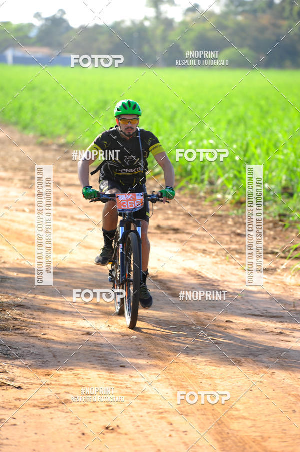 Buy your photos of the eventWolf Series - Botucatu on Fotop