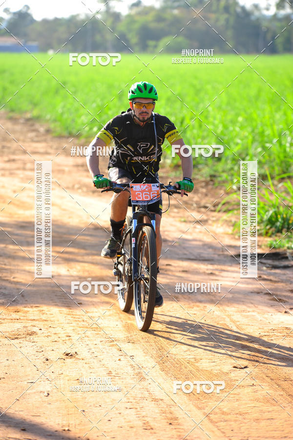 Buy your photos of the eventWolf Series - Botucatu on Fotop
