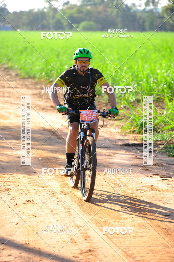 Buy your photos of the eventWolf Series - Botucatu on Fotop