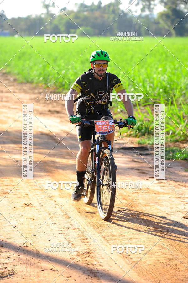Buy your photos of the eventWolf Series - Botucatu on Fotop