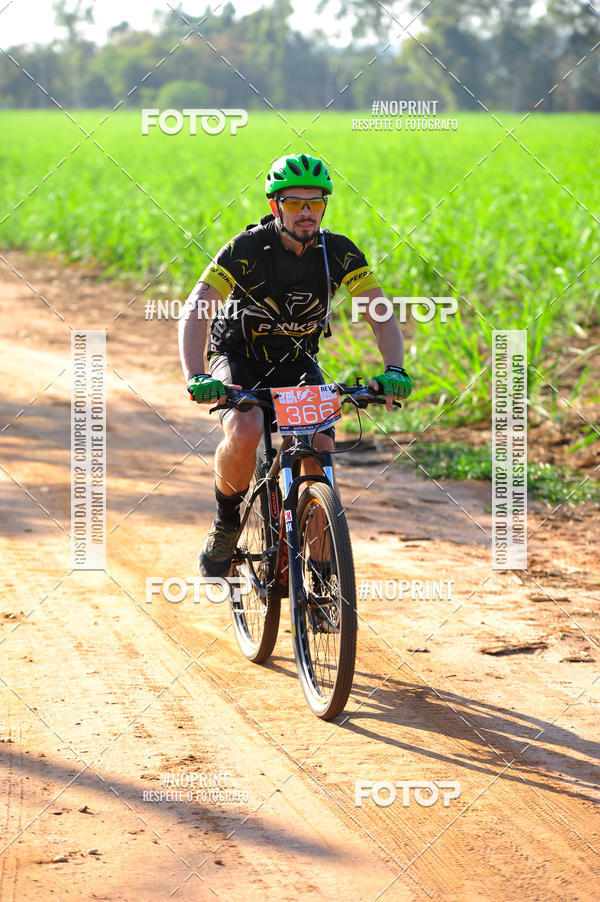 Buy your photos of the eventWolf Series - Botucatu on Fotop