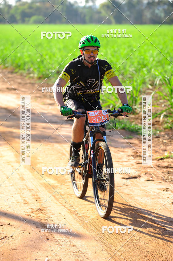 Buy your photos of the eventWolf Series - Botucatu on Fotop