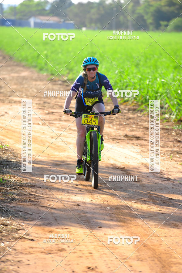 Buy your photos of the eventWolf Series - Botucatu on Fotop