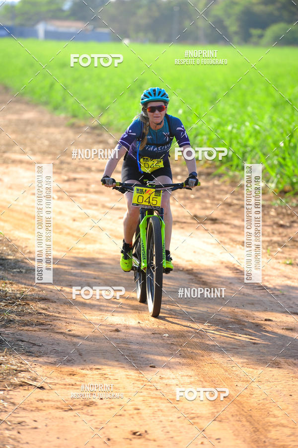 Buy your photos of the eventWolf Series - Botucatu on Fotop