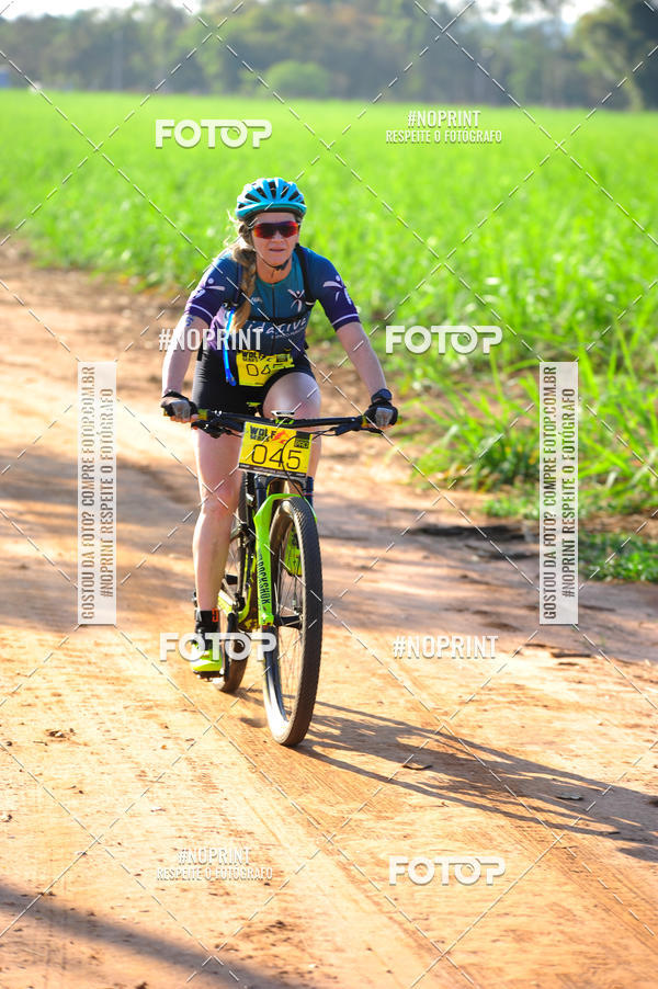 Buy your photos of the eventWolf Series - Botucatu on Fotop