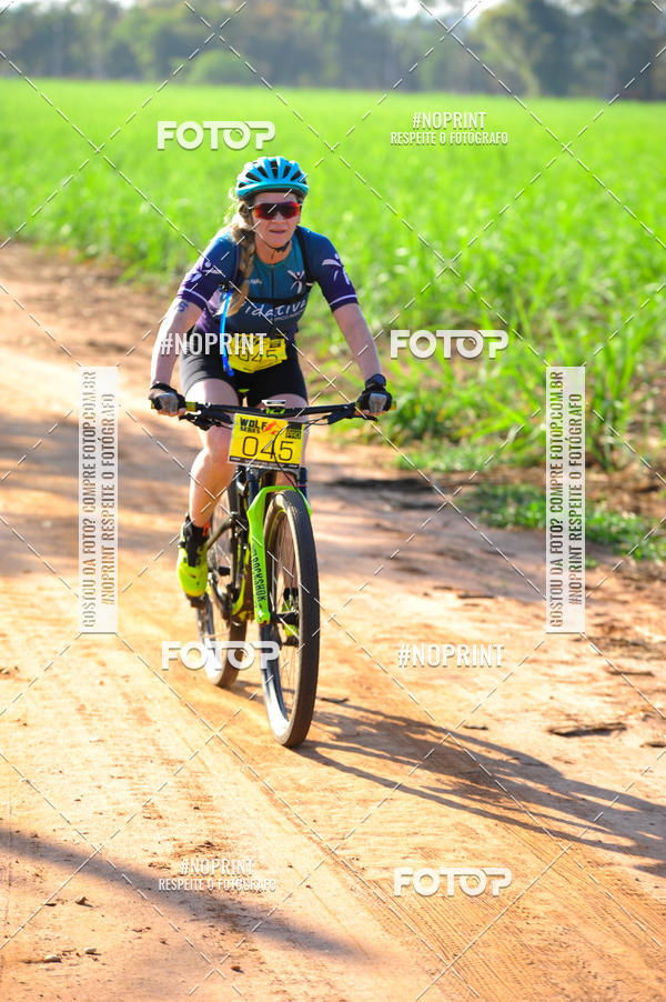 Buy your photos of the eventWolf Series - Botucatu on Fotop