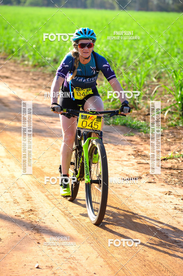 Buy your photos of the eventWolf Series - Botucatu on Fotop