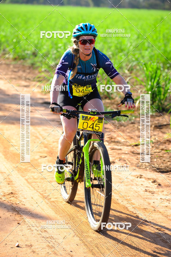 Buy your photos of the eventWolf Series - Botucatu on Fotop