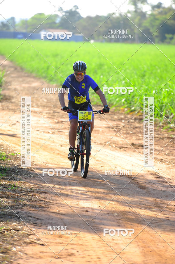 Buy your photos of the eventWolf Series - Botucatu on Fotop