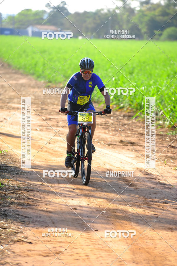 Buy your photos of the eventWolf Series - Botucatu on Fotop