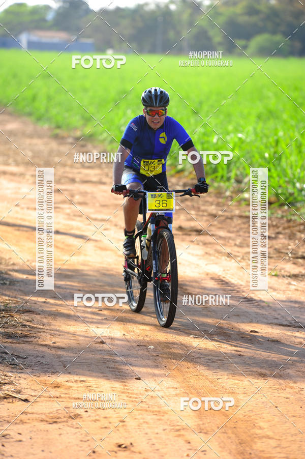 Buy your photos of the eventWolf Series - Botucatu on Fotop