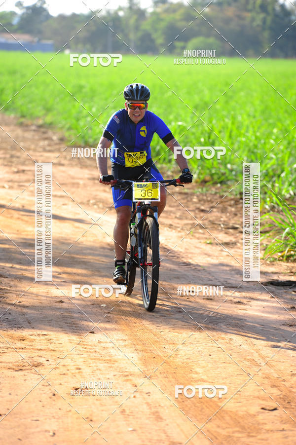 Buy your photos of the eventWolf Series - Botucatu on Fotop