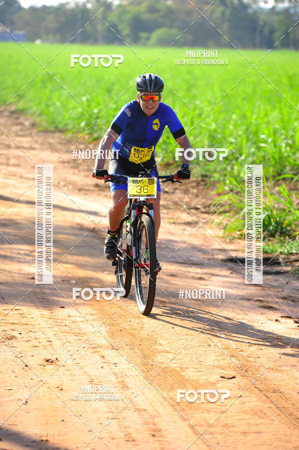 Buy your photos of the eventWolf Series - Botucatu on Fotop