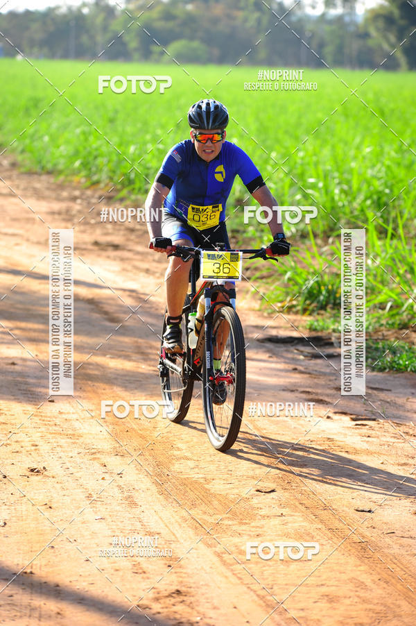 Buy your photos of the eventWolf Series - Botucatu on Fotop