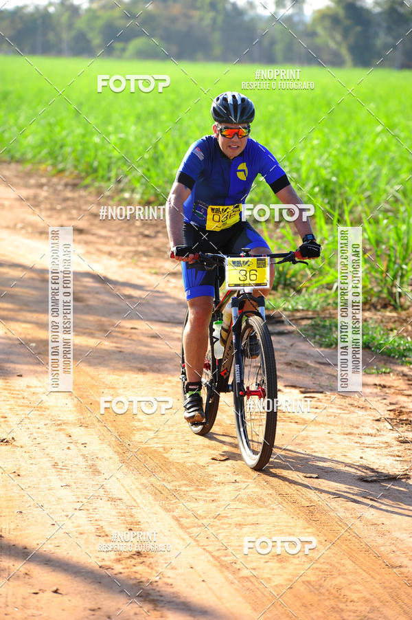 Buy your photos of the eventWolf Series - Botucatu on Fotop