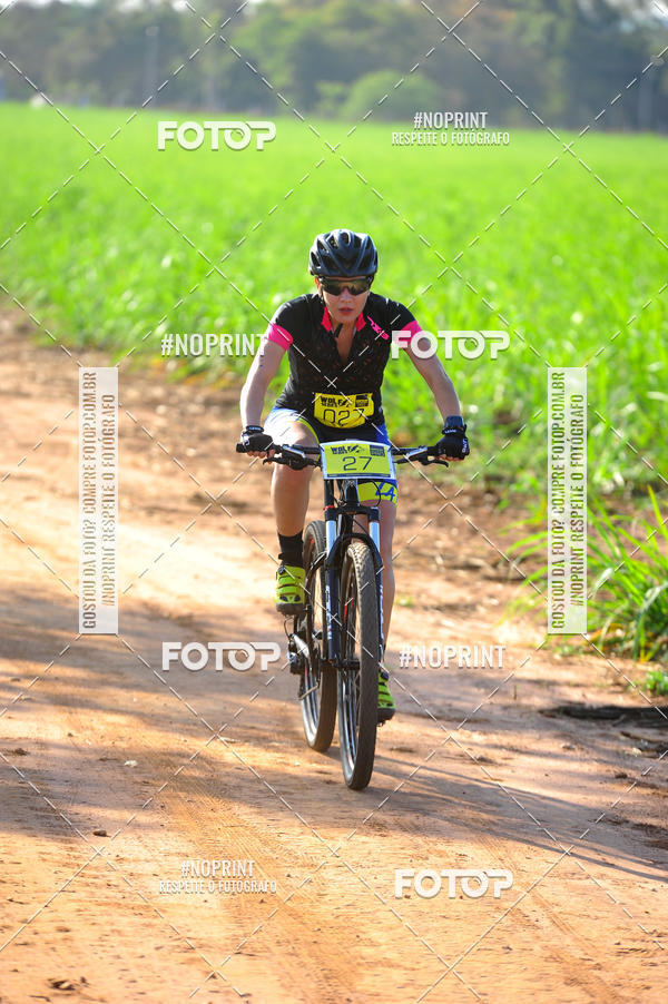 Buy your photos of the eventWolf Series - Botucatu on Fotop